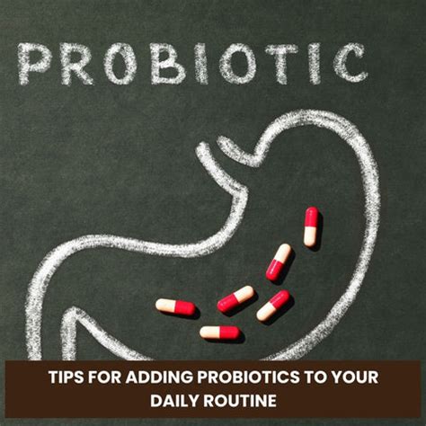 Multi-Strain vs. Single-Strain Probiotics: Which One Is Right? | Clinikally
