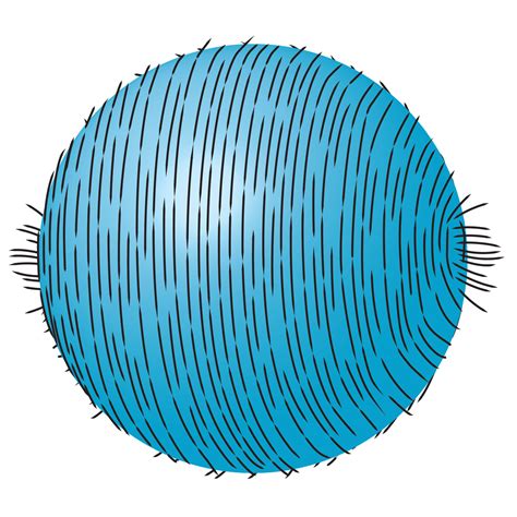 Math's 'Hairy Ball Theorem' Has Surprising Implications | Scientific ...