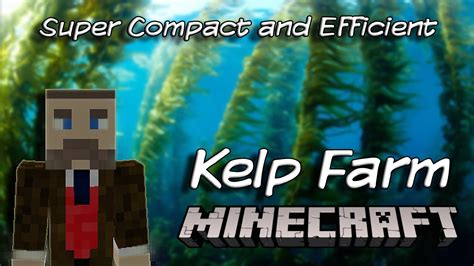 Image result for Auto Kelp Block Farm Java 1 21 5