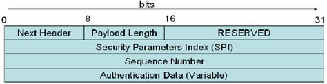 Image result for IP Security Authentication Header Diagram