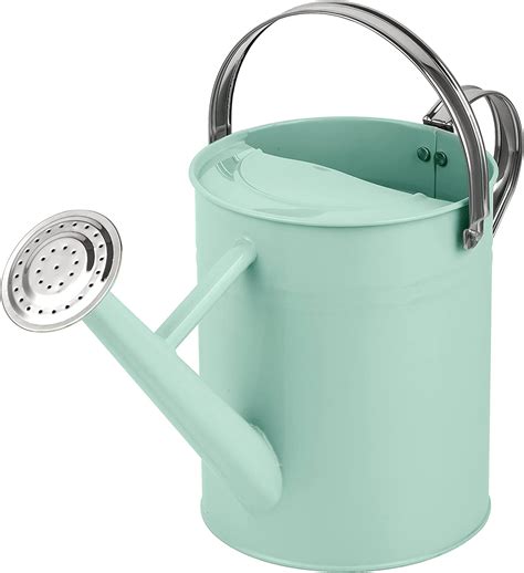 Watering Can - Metal Watering Can With Removable Spout, Perfect Plant ...