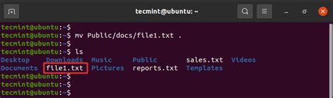 Image result for How to Move Data From File to File in Linux