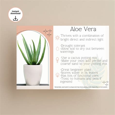 Aloe Vera Plant Care Card Indoor Plant Care Guide, Houseplant Care for ...