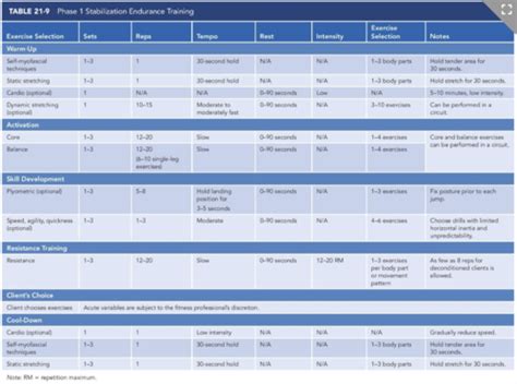 OPT Model Explained 的图像结果
