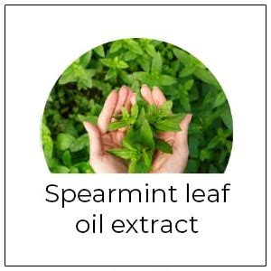 PROTOUCH Pearl White Drops | Teeth Whitening Pen Gel | Whiter Teeth ...