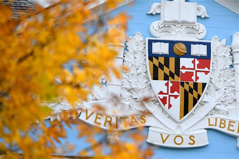 Essays that Worked 2024 Archives | Johns Hopkins University Admissions