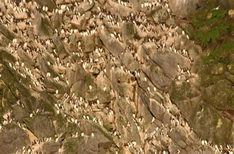 Du Vanuatu à l'île Macquarie, en Alaska, au Vietnam, au Groenland ...