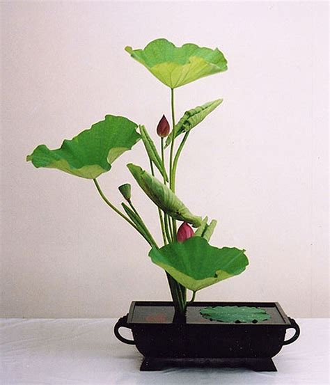 30 Pictures of Japanese Art Of Flower Arrangement, Ikebana | Ikebana ...