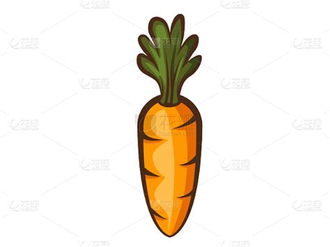 10斤包邮【现挖现发】新鲜胡萝卜新鲜蔬菜农家水果萝卜蔬菜类批发-阿里巴巴