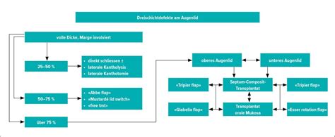 Algorithmus zur Augenlidrekonstruktion - Plastische Chirurgie ...