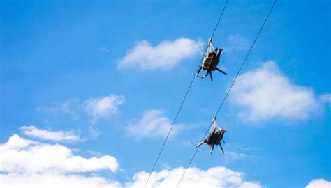 Ziplining In Mauritius: All That You Need To Know About The Amazing Sport