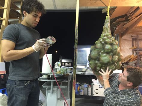 Image result for Alien Egg Sack