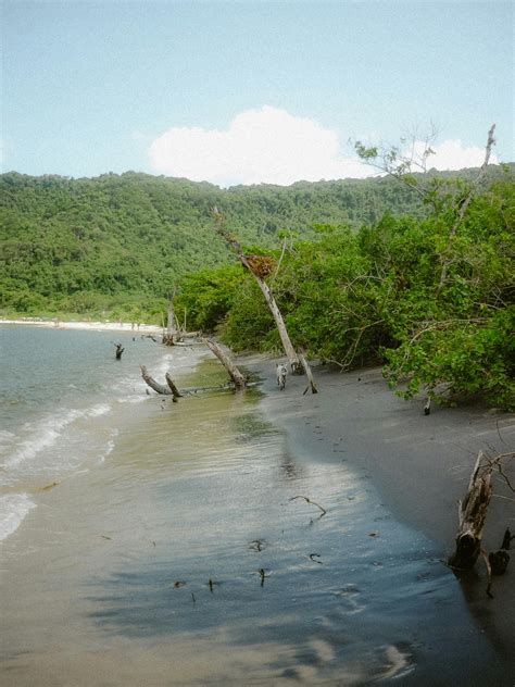 Beach Green screen 的图像结果