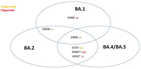 A Critical Analysis of the Use of Cilgavimab plus Tixagevimab ...
