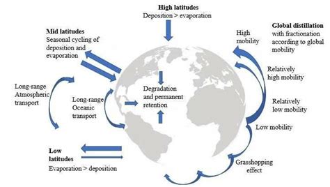 Run-up to Ottawa: Arctic a ‘hemispheric sink’ for chemicals & plastics ...