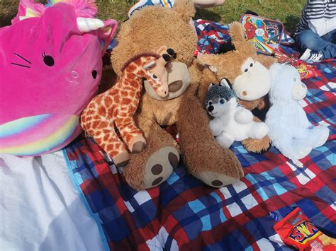 MountBruisNS (@MountBruisNs) / Twitter