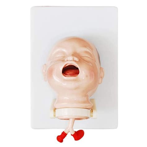 Buy H-BEI Infant Tracheal Intubation Model, Tracheal Intubation ...