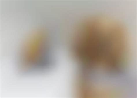 Weiner Dog Food Photography : The Gourmand Puppy Editorial