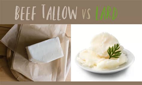 Beef Tallow vs Lard: Which is Better? - The Coconut Mama