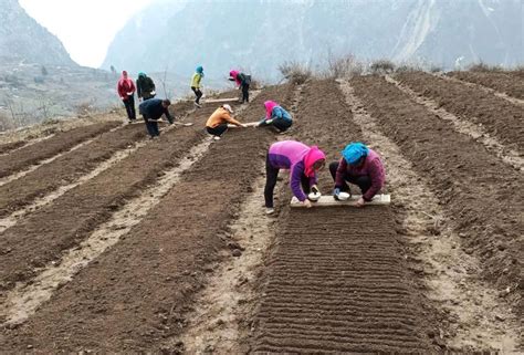 喀什市：不负农时不负春 工作队农技服务到田间 -天山网 - 新疆新闻门户