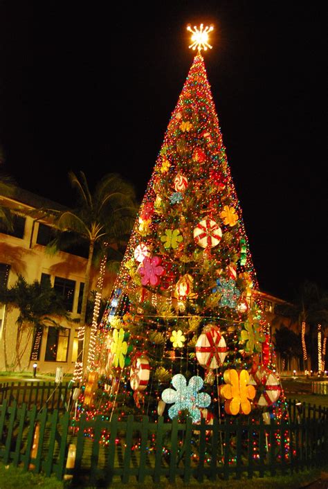 Hawaii Ahe Kapolei City Lights Holiday Celebration This Saturday ...