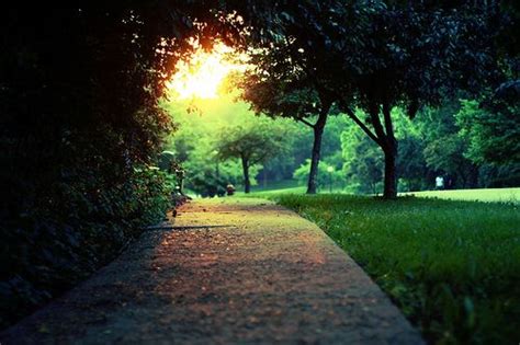Image result for Background Images for JavaScript