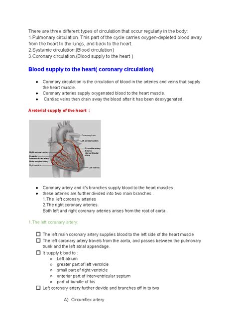Coronary Circulation: Comprehensive Overview of Heart Blood Supply ...