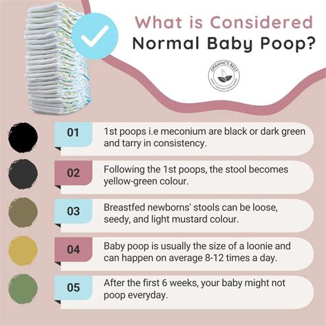 S.O.S! Tips for Tackling Breastfed Baby Diarrhea