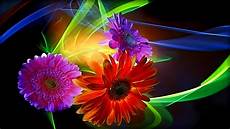 3d Hd Wallpapers Flowers by Cool Abstract Flower Wallpaper Hd Pixelstalk Net 3d Hd Wallpapers Flowers