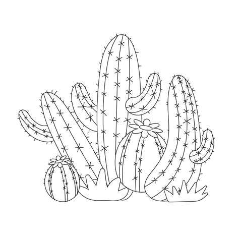 Cactus Plant Clip Art Black And White Sketch Coloring Page