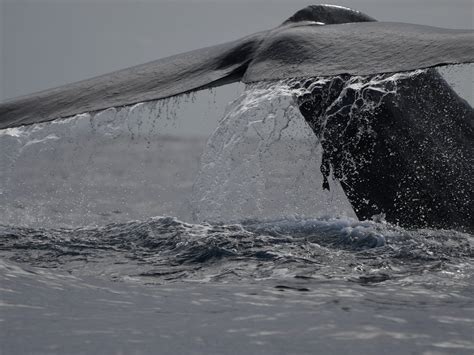 WPY TRAVELS (2026) All You Need to Know BEFORE You Go (with Photos ...