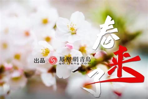 《春来了》_凤凰网视频_凤凰网