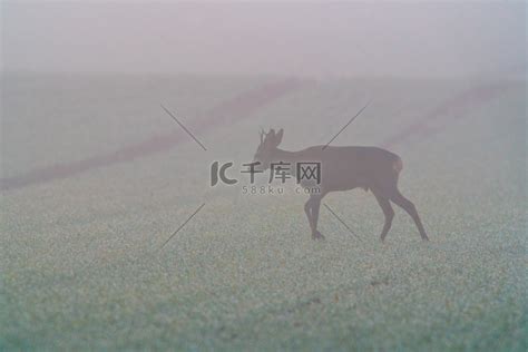 Image result for Basic ASCII Code