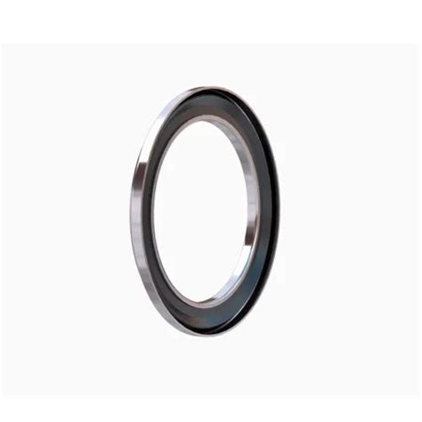 Lip Seals - Gamma Lip Seal Manufacturer from Mumbai