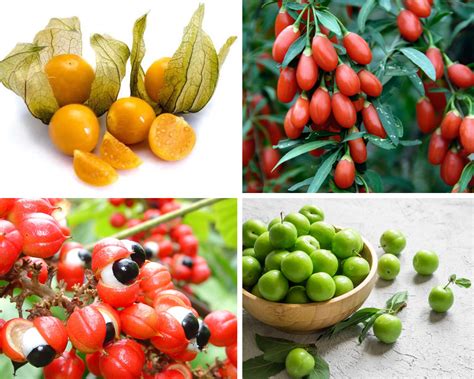 25 Fruits that Start with G Facts and Pictures - Richmond Mom