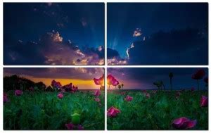 Flower 4 Panel Wall Art Painting With UV Coating 36x24 inches on 4mm ...