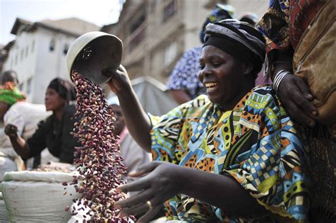 African Agriculture 的图像结果