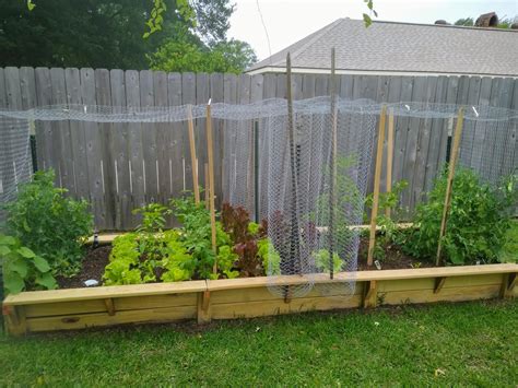 Raised Bed Garden Fencing Ideas Build A DIY Raised Garden Bed