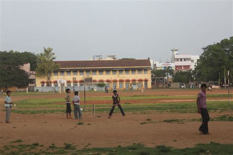 Tanuku - JungleKey.in Image