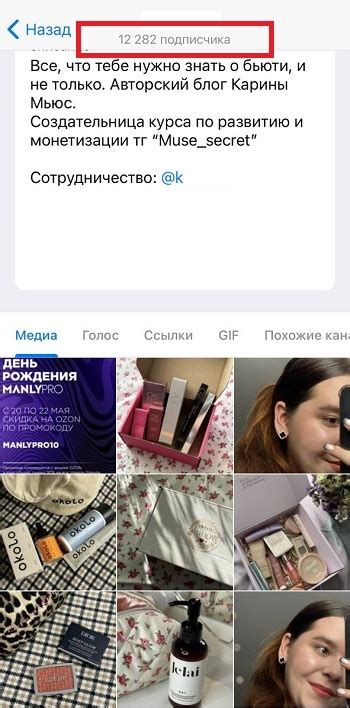 Накрутка рефералов ТГ бесплатно и от 23р — обзор 9 сайтов