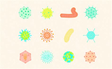 Joyce Lin – Portfolio