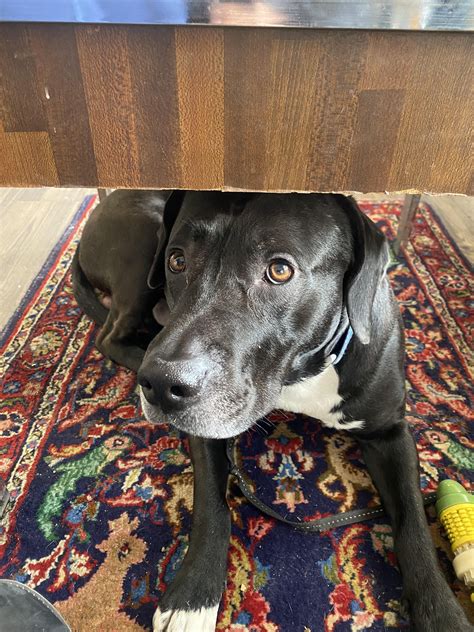 AAA Just rejected my home insurance and umbrella insurance applications ...