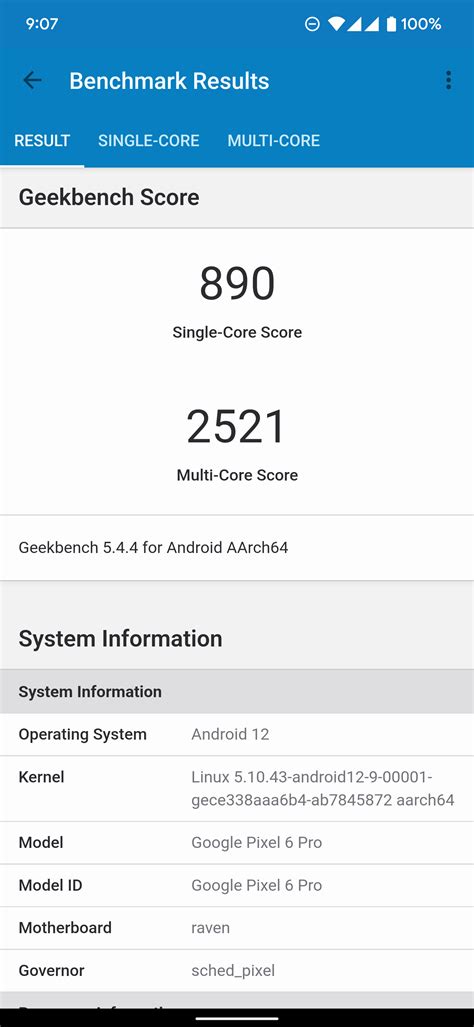 Pixel 6 Pro Benchmark 的图像结果