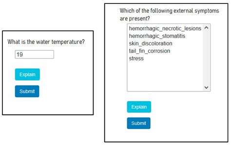 Using Level-Based Multiple Reasoning in a Web-Based Intelligent System ...