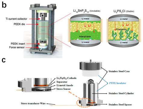 Experimental Investigations on the Chemo-Mechanical Coupling in Solid ...