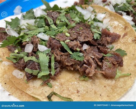 Tacos De Carne De Suadero Mexicano Para La Cena Foto de archivo ...