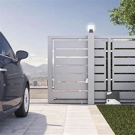 Automatic Gate 的图像结果