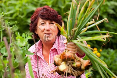 妇女收获洋葱在她的花园，专注于洋葱高清摄影大图-千库网