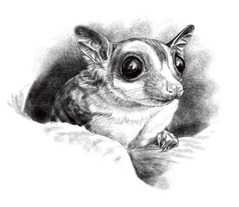 Home | Danielle Dufault