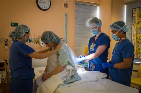 Reproductive Medicine and Anesthesia 的图像结果